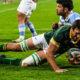 Action between South Africa's Springboks and Argentina. Photo/ Springboks.