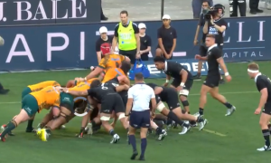 Contest between All blacks and Wallabies. PHOTO/Screen Grab