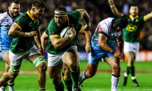 thomas-du-toit-springboks