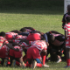 Impala vs South Coast pirates in a past Kenya Cup date. PHOTO/Scrummage