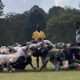 Scrum contest between Nondies and Nakuru RFC. PHOTO/Kenya Cup/X